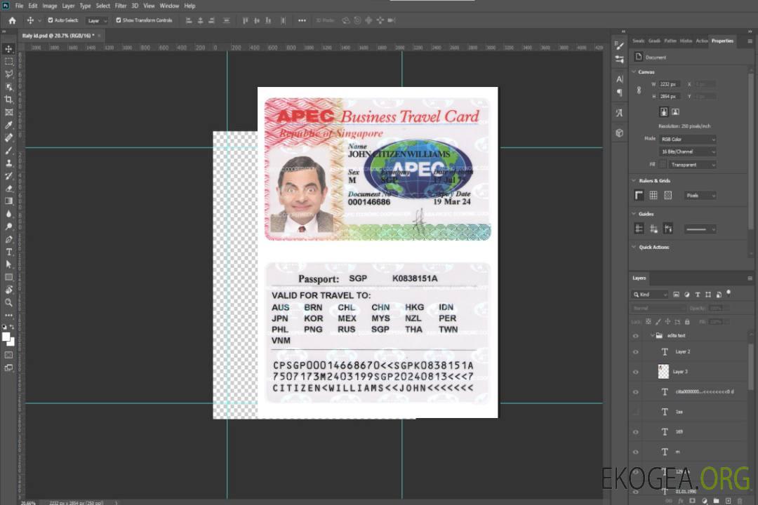 Carte de voyage d'affaires à SINGAPOUR template Carte de voyage d'affaires à SINGAPOUR template